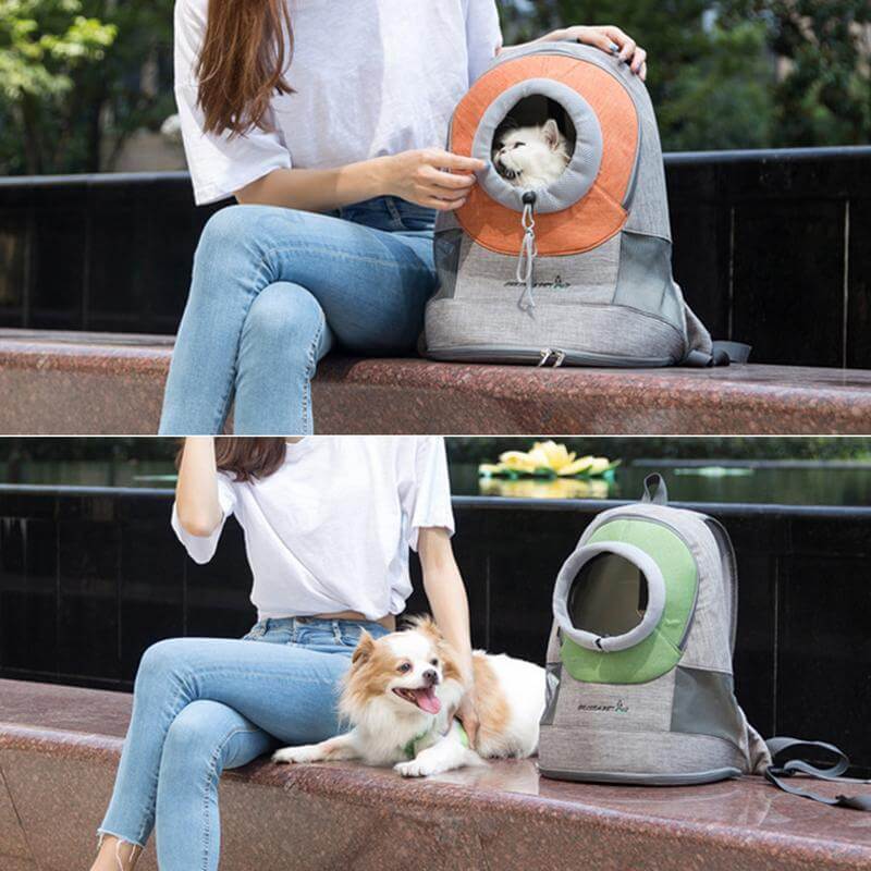 Puppy backpack pet backpack